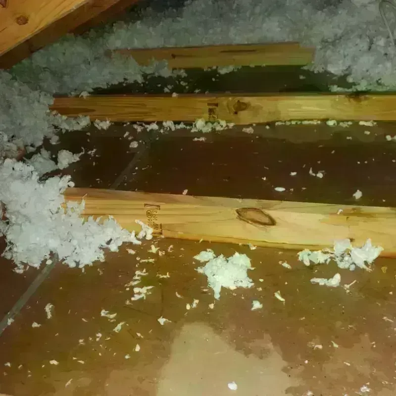 Attic Water Damage in Gillespie, IL